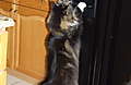 DSCF5359.jpg
