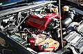 DSCN0035.JPG