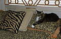 DSCN0067.JPG