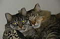DSCN02721.JPG