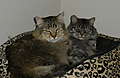 DSCN02801.JPG