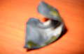 DSCN0307.JPG