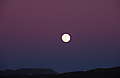 DSCN0513.JPG