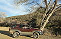 DSCN1568.jpg