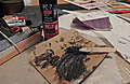 DSCN5090.JPG