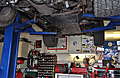 DSC_2319.JPG