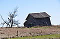DSC_4681.JPG