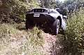 IMG00035-20090627-1051.jpg