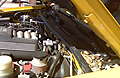 IMG00162.jpg