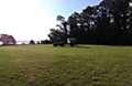 IMG_20140601_072759989.jpg