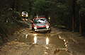 MG_8923.JPG