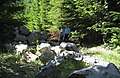 Marble_Mtn_VX_014_Medium.JPG