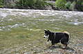 Moab_2009_050.jpg
