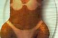 SEXY_TURKEY_.jpg