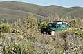 SOUTHWEST_VACATION_11-05_357.jpg