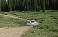 Transfer_Trail_09_42.JPG