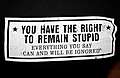 You_have_the_right_to_remain_stupid.jpg