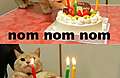 birthday_kitty.jpg