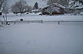 snow02.jpg