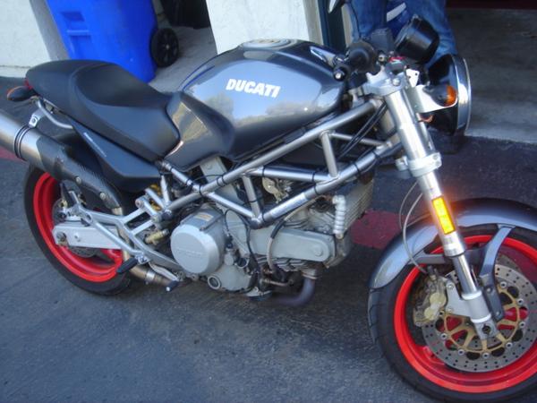 ducati monster