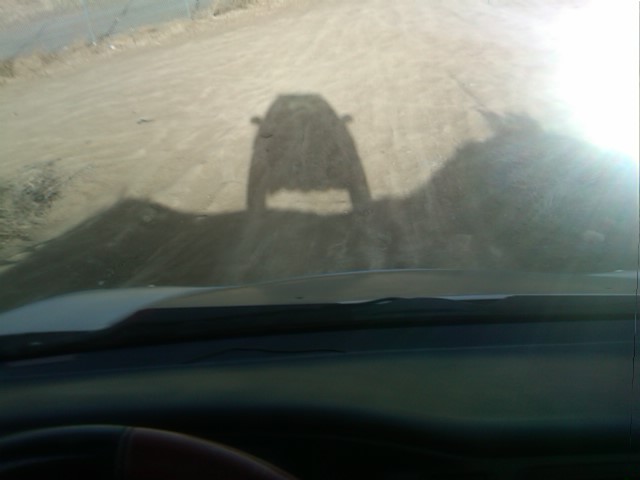 Me and My VX Shadow