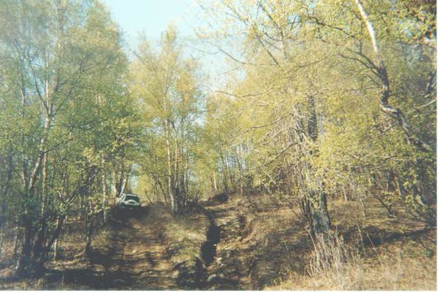 hill 2