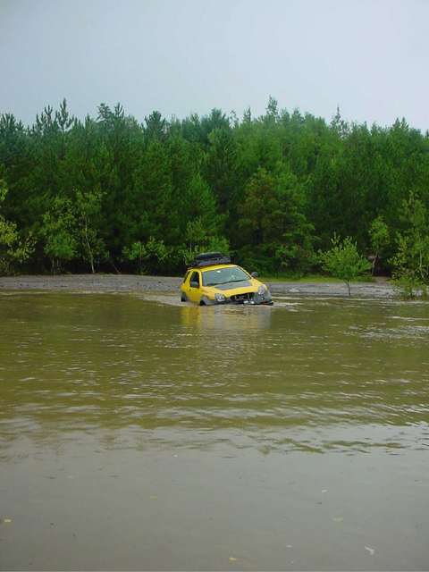 Yellow Submarine