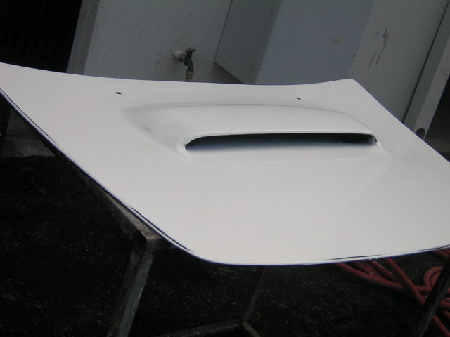 C/F scoop insert2