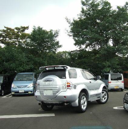 all_silver_Jap_VX