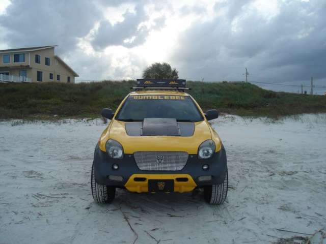 &quot;BUMBLEBEE&quot;
