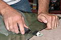 DSCN0800.jpg