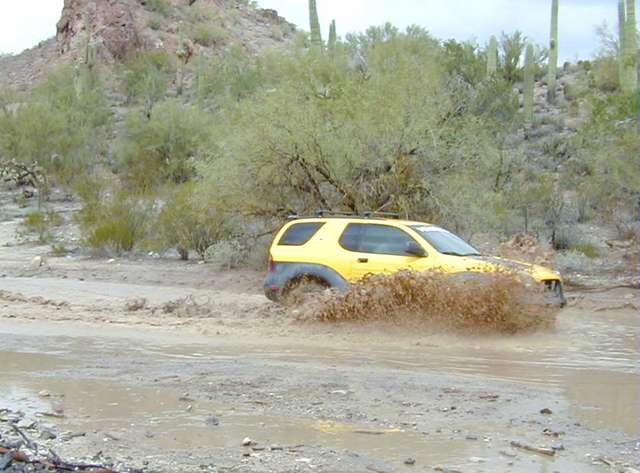 Playin in the puddles