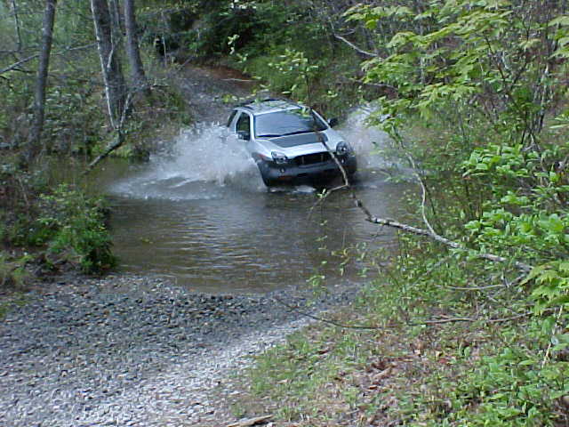 NIV making a splash