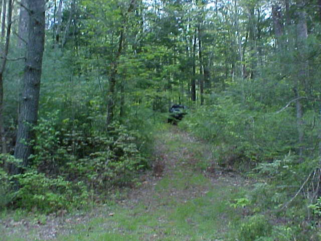 NIV playing hide + seek
