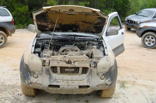 10_muddy