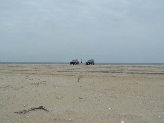 Long shot of the VX's