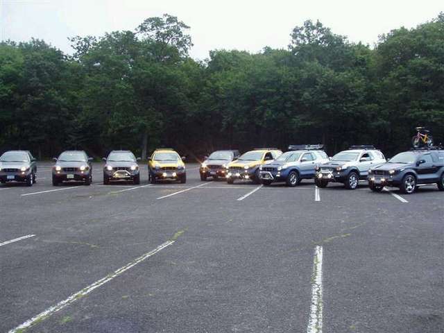 Line Up